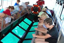 Glass Bottom Boating